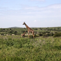 IMG_20250118-01-IMG_9582