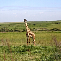 IMG_20250118-01-IMG_9589