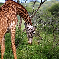 IMG_20250118-01-IMG_9827