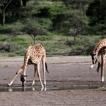 IMG_20250118-01-IMG_9921