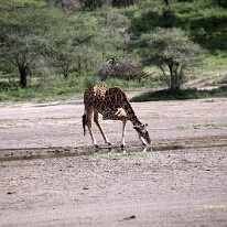 IMG_20250118-01-IMG_9934