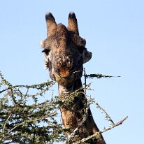 IMG_20250119-01-IMG_0321