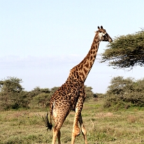 IMG_20250119-01-IMG_0326