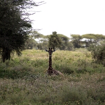 IMG_20250119-01-IMG_0545