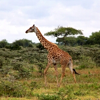 IMG_20250120-01-IMG_0851