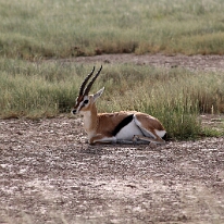 IMG_20250114-00-IMG_8410