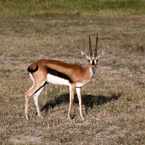 IMG_20250115-00-IMG_8837