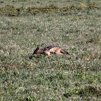 IMG_20250117-00-IMG_9170