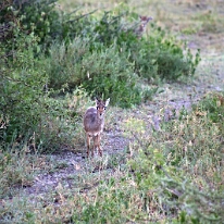 IMG_20250119-01-IMG_0167