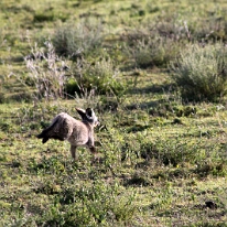 IMG_20250119-01-IMG_0269