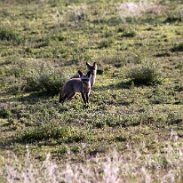 IMG_20250119-01-IMG_0272