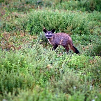 IMG_20250120-01-IMG_0822