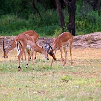 IMG_20250120-01-IMG_0904