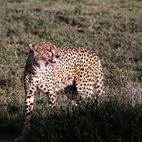 IMG_20250118-01-IMG_0067