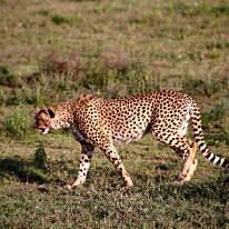 IMG_20250118-01-IMG_0085