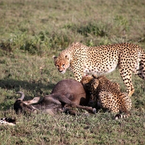 IMG_20250118-01-IMG_0087