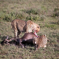 IMG_20250118-01-IMG_0098