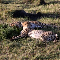 IMG_20250119-01-IMG_0209