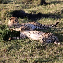 IMG_20250119-01-IMG_0213