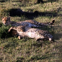 IMG_20250119-01-IMG_0215