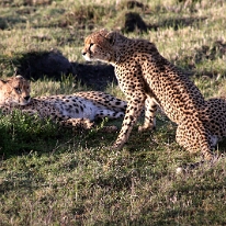 IMG_20250119-01-IMG_0223