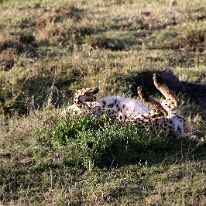 IMG_20250119-01-IMG_0229