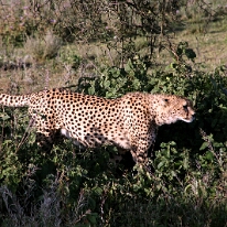 IMG_20250119-01-IMG_0240