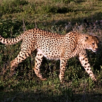 IMG_20250119-01-IMG_0242