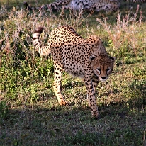 IMG_20250119-01-IMG_0244