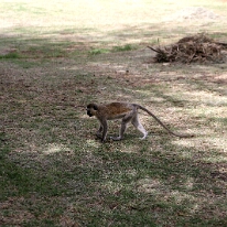 IMG_20250114-00-IMG_8389