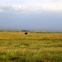 IMG_20250114-00-IMG_8417