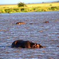IMG_20250115-00-IMG_8874 TITULEK pod obrázkem