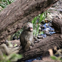 IMG_20250120-01-IMG_0862