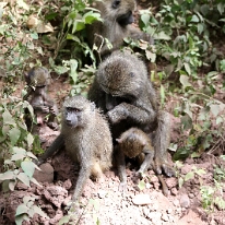 IMG_20250120-01-IMG_0866