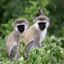 IMG_20250120-01-IMG_0968