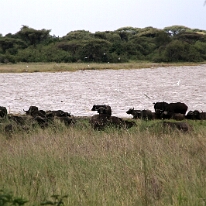 IMG_20250120-01-IMG_0979