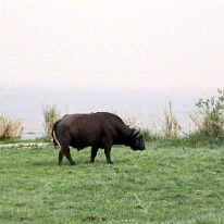 IMG_20250120-01-IMG_0981