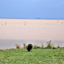 IMG_20250120-01-IMG_0985