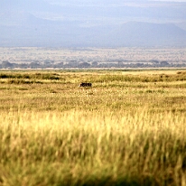 IMG_20250115-00-IMG_8635