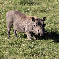 IMG_20250117-00-IMG_9082