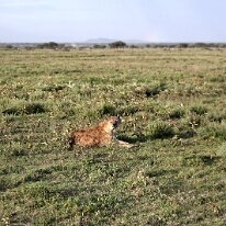 IMG_20250118-01-IMG_0115