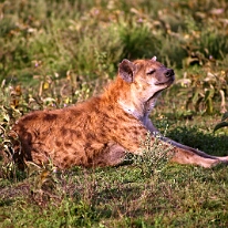 IMG_20250118-01-IMG_0120