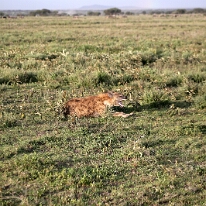 IMG_20250118-01-IMG_0122