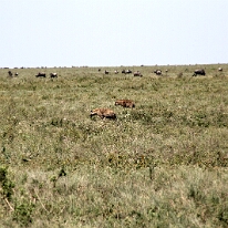 IMG_20250119-01-IMG_0358