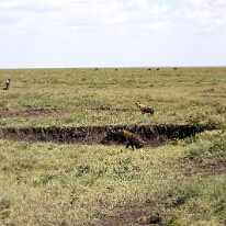 IMG_20250119-01-IMG_0386