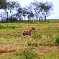 IMG_20250119-01-IMG_0674