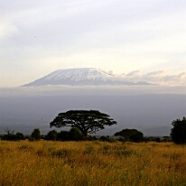 IMG_20250114-00-IMG_8545