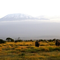 IMG_20250114-00-IMG_8563