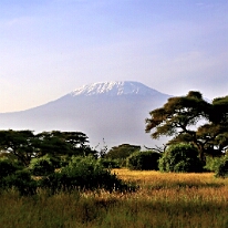 IMG_20250115-00-IMG_8645