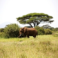 IMG_20250114-00-IMG_8353